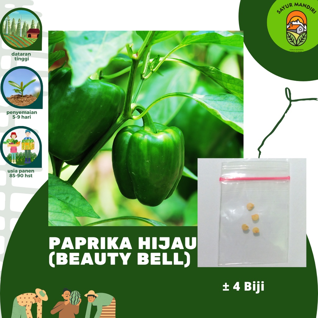 Benih Paprika Hijau Beauty Bell Seribuan