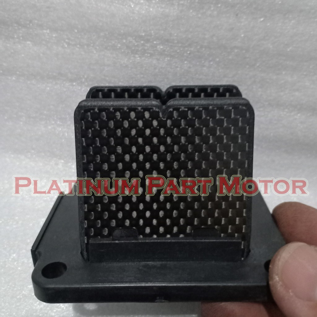 Membran Karbon - RX King Racing