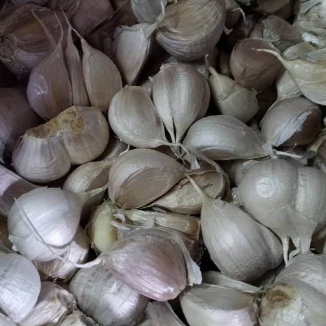 

Bawang putih biasa 25 rb / kg