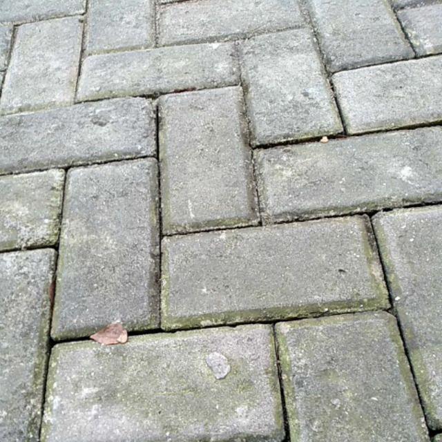 Botol Minum Karakter Big Bear 500ml - Botol Air 500ml - Palapa