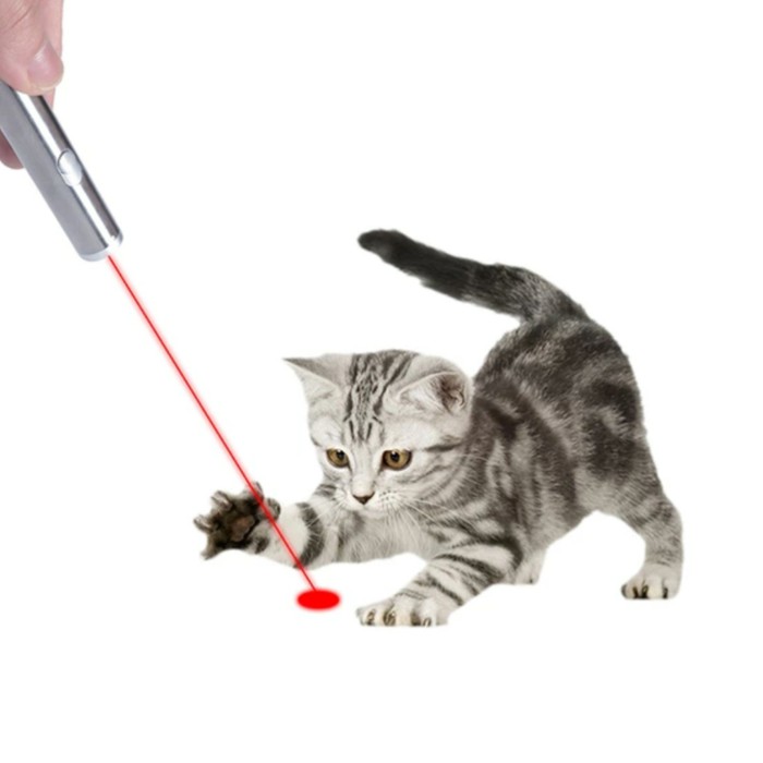  Mainan  Kucing  Laser Interaktif Shopee Indonesia