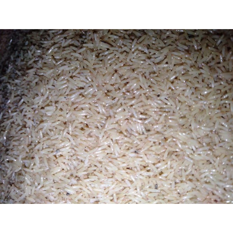 1000g telur jangkrik