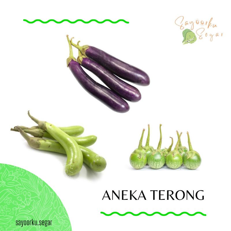 

KIRIM BESOK Terong Ungu / Terong Hijau / Terong Lalap / Terong Baby