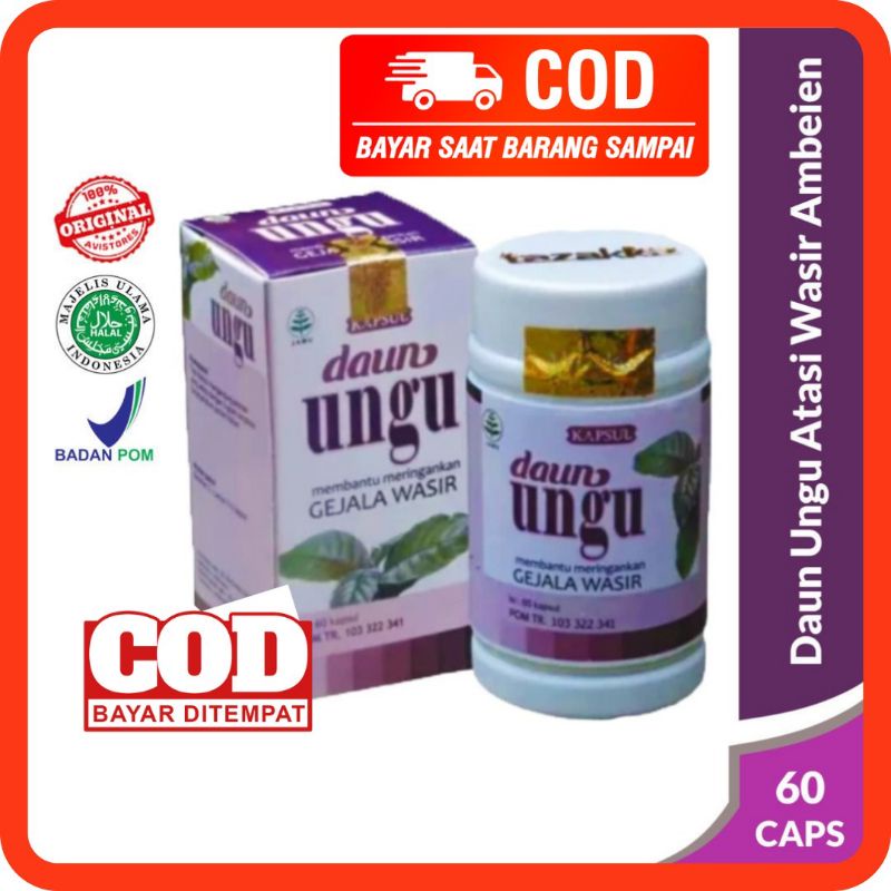 Kapsul Daun Ungu Isi 60 - Obat Wasir Obat Ambeyen Ambeien BAB Berdarah Benjolan Anus Daun Ungu Asli