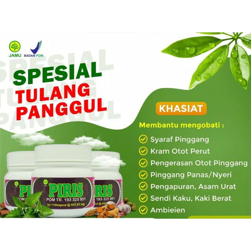 

OBAT HERBAL PIRIS Spesial TULANG PANGGUL PUSPITA RADJA