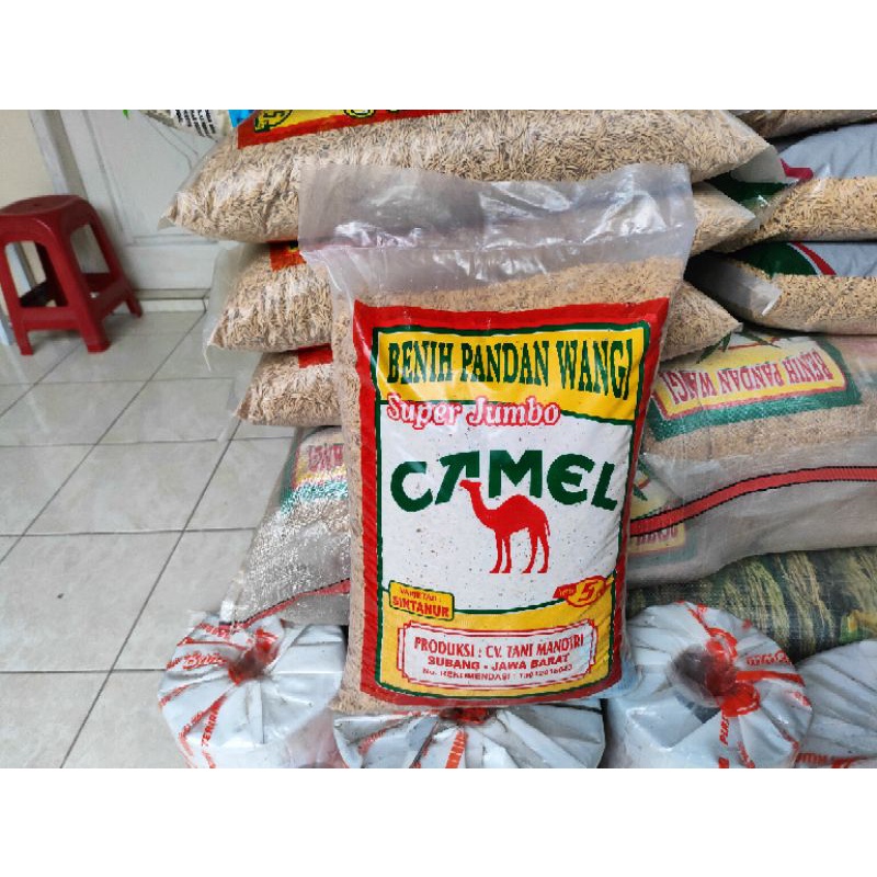 Benih Padi Unggul Pandan Wangi Asli Sintanur Bersertifikat Label Ungu Kemasan 1 Kg Repack