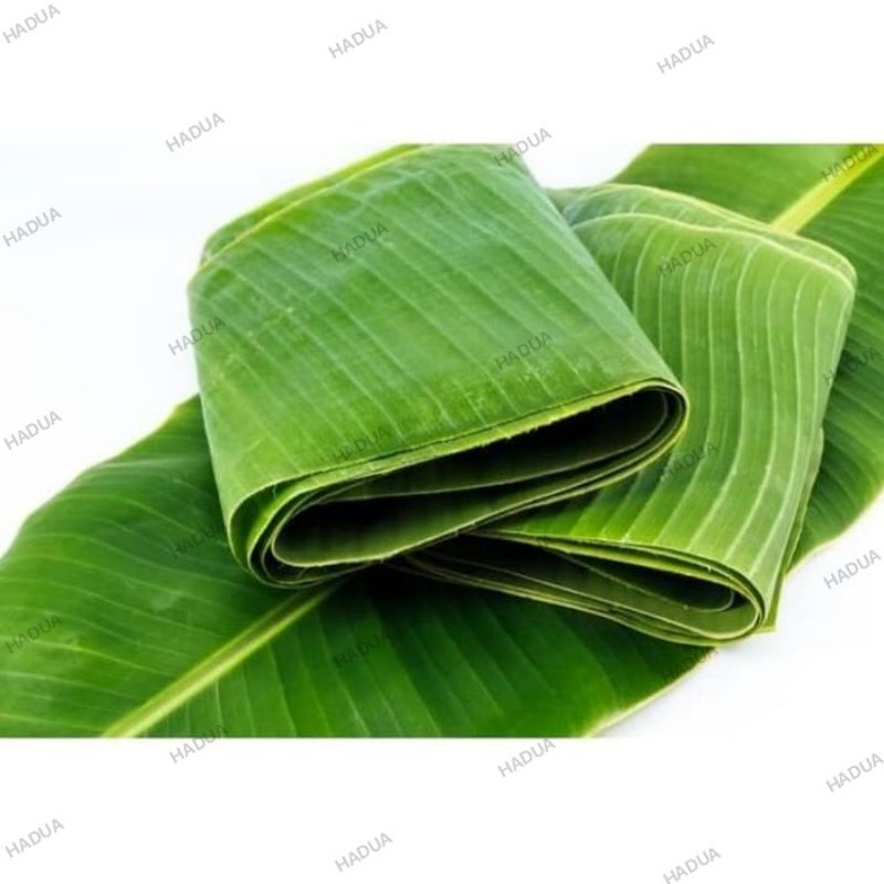 

Daun pisang segar 200gr