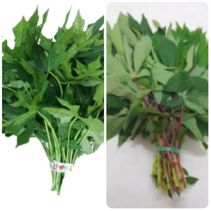 

Daun Pepaya Daun Singkong