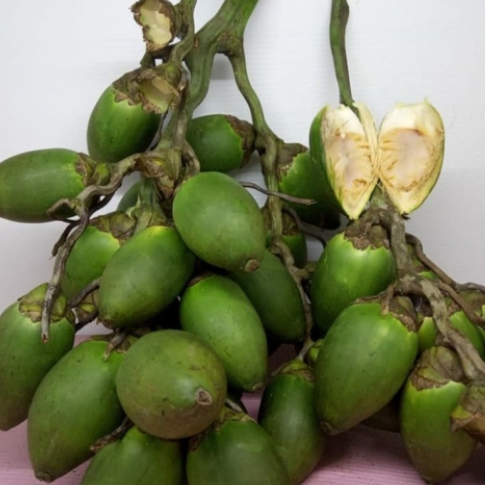 

Buah pinang muda herbal - buah pinang berat 500grm
