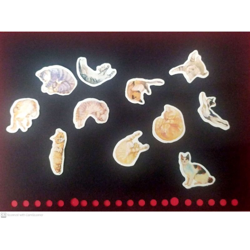 

5 Pcs Cute Cat Sticker Journaling Scrapbook Planner DIY Stiker Kucing Lucu Korea Decor