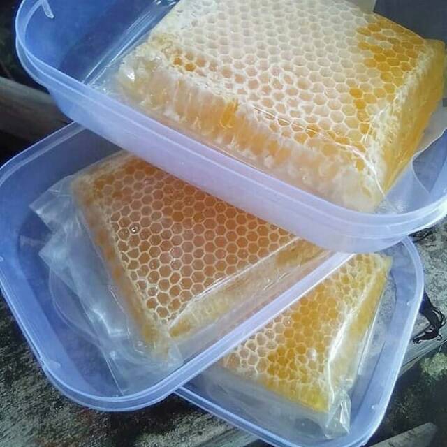 

Redy MADU SARANG MURNI