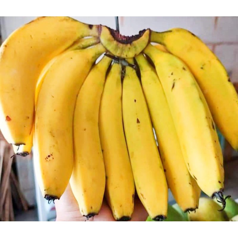 

Pisang Ambon lezat