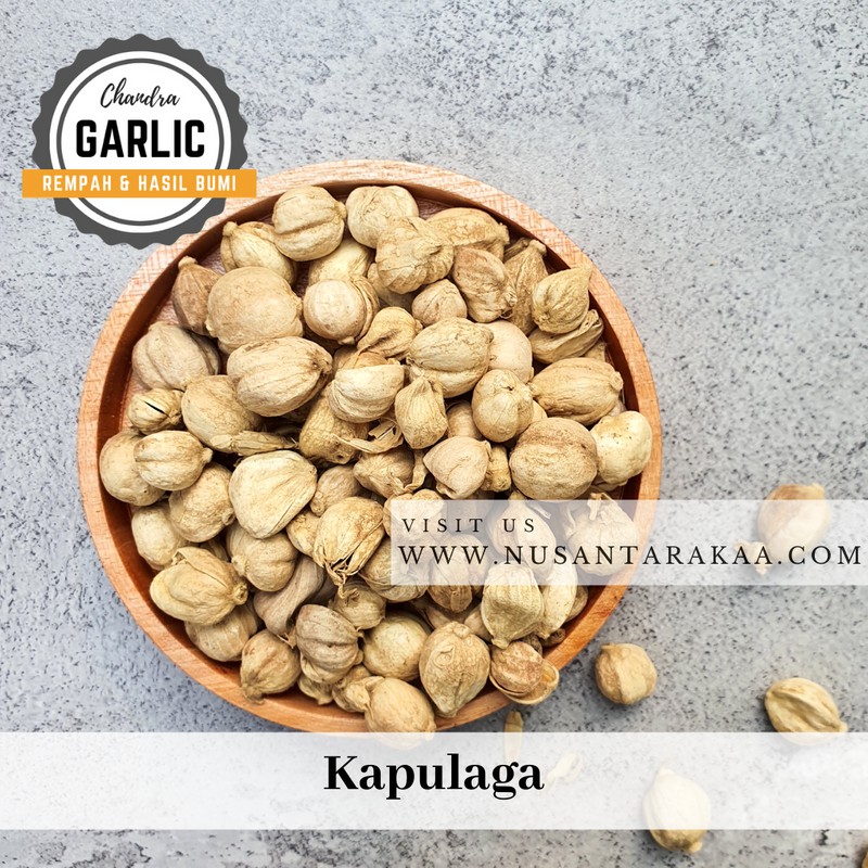 

Kapulaga / kapolaga 50 gr