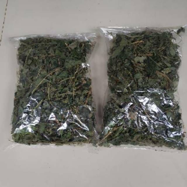 

Jelatang daun jelatang kering stinging nettle kualitas super