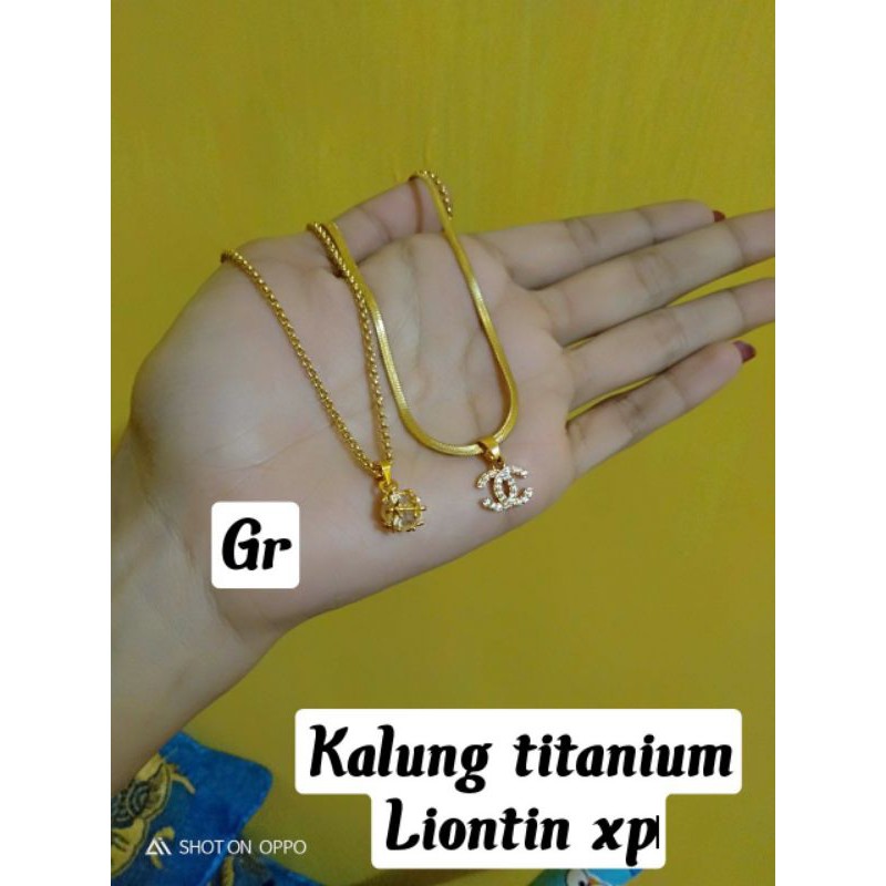 kalung titanium liontin xp