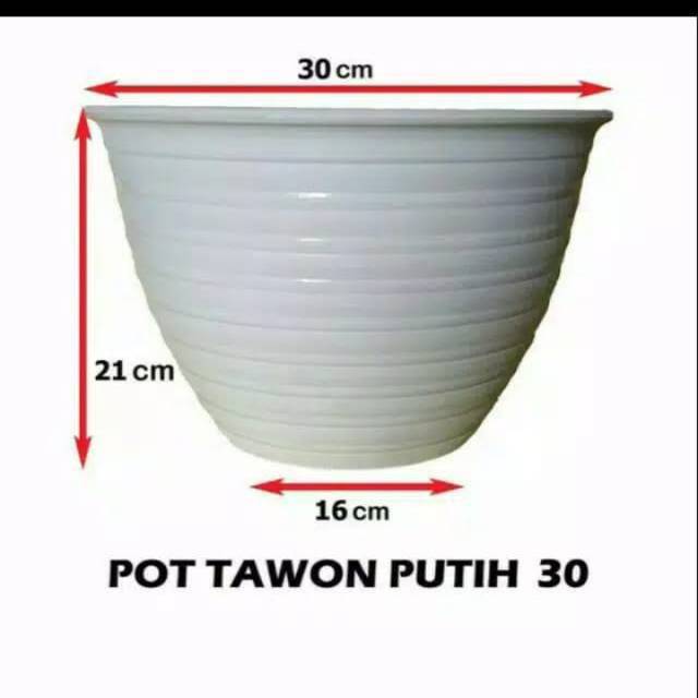 Pot tawon 30cm