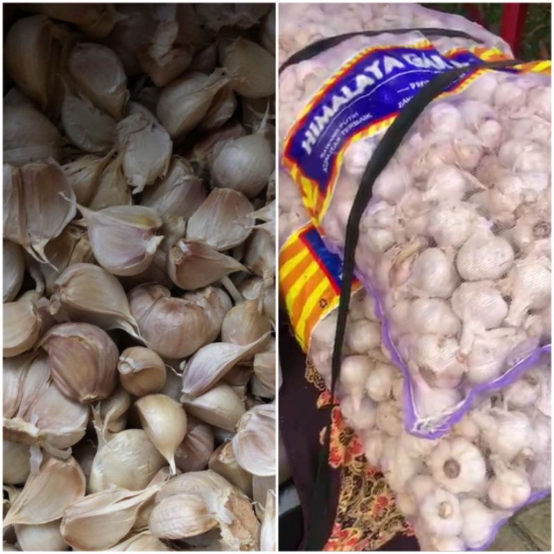 

Bawang Putih Kating tanpa busuk atau kempos 250gr 500gr 1kg