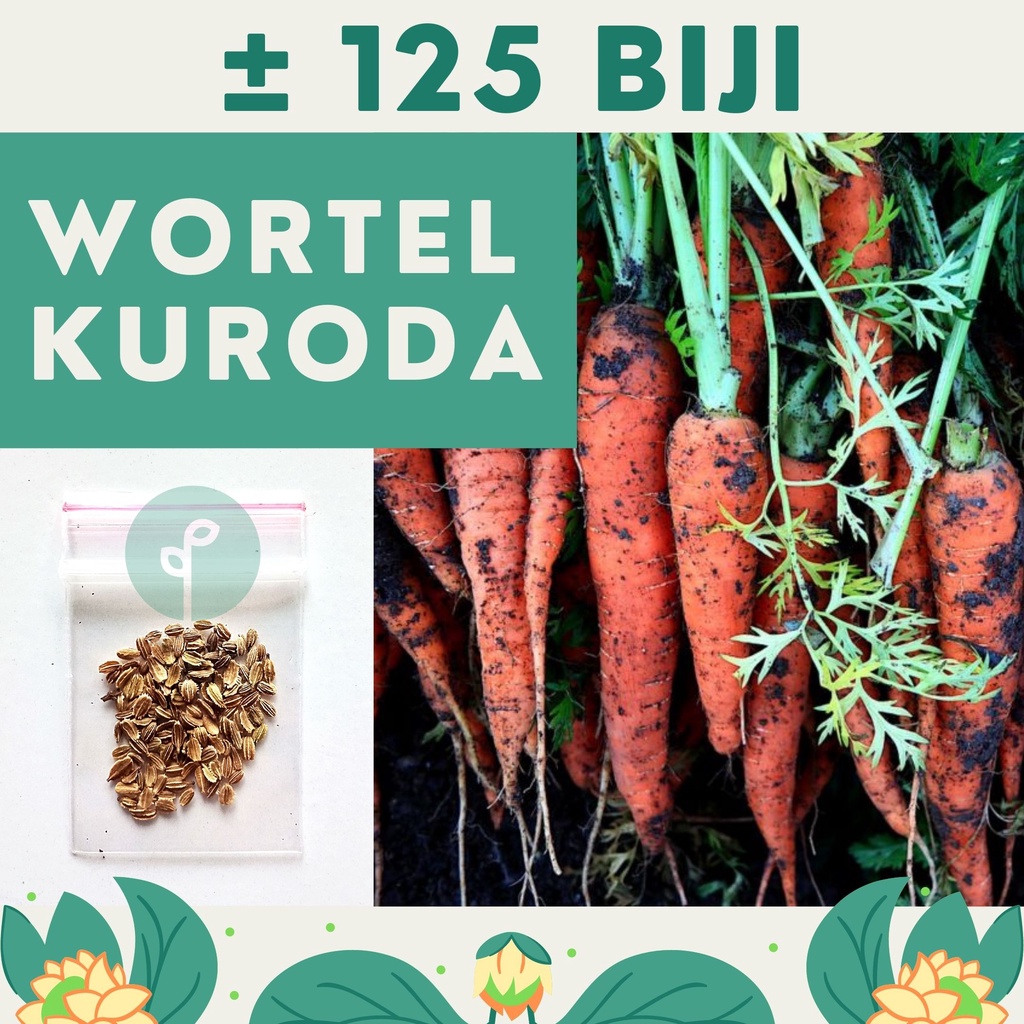 Bibit Sayuran Benih Sayur Paket Lengkap Hidroponik Kangkung Bayam Cabe Sawi Selada Terong Tomat dll-WORTEL KURODA