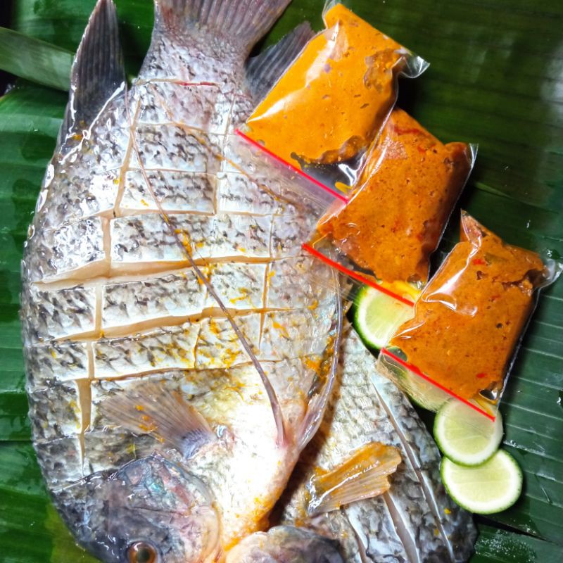 

Ikan Gurame Siap Goreng