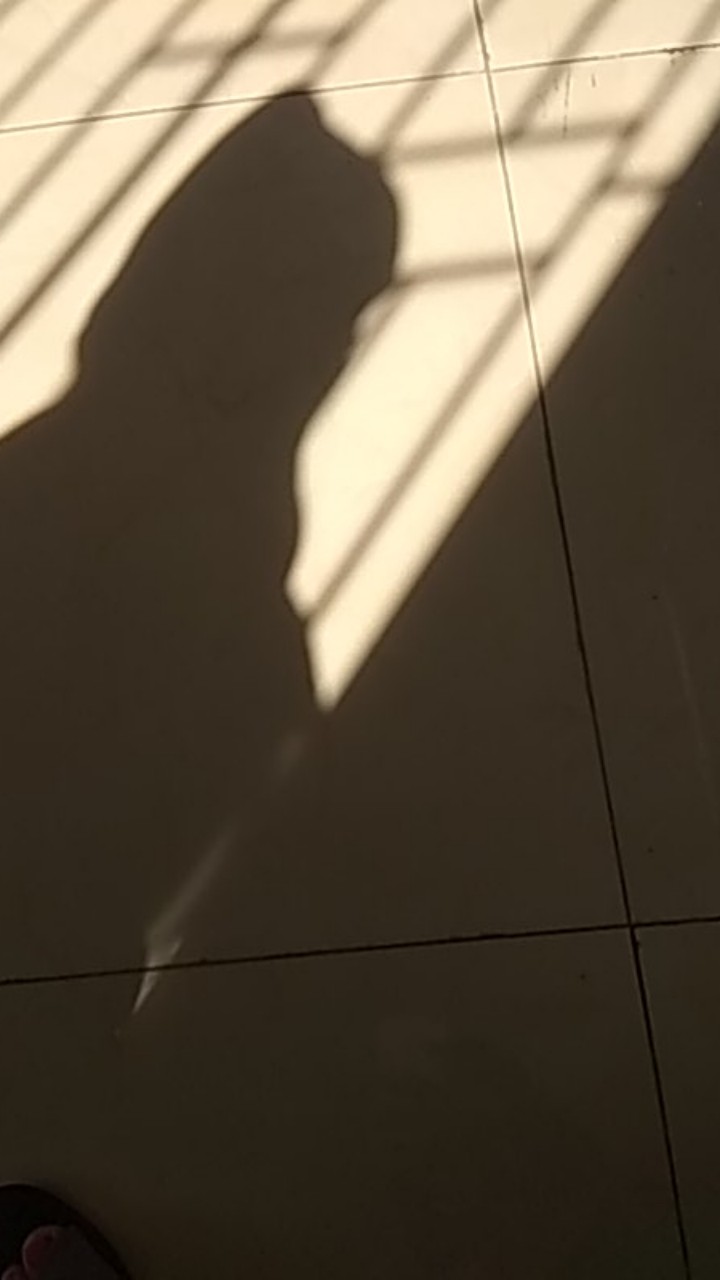 Speedy Cooper Mini , Blander Bumbu Manual