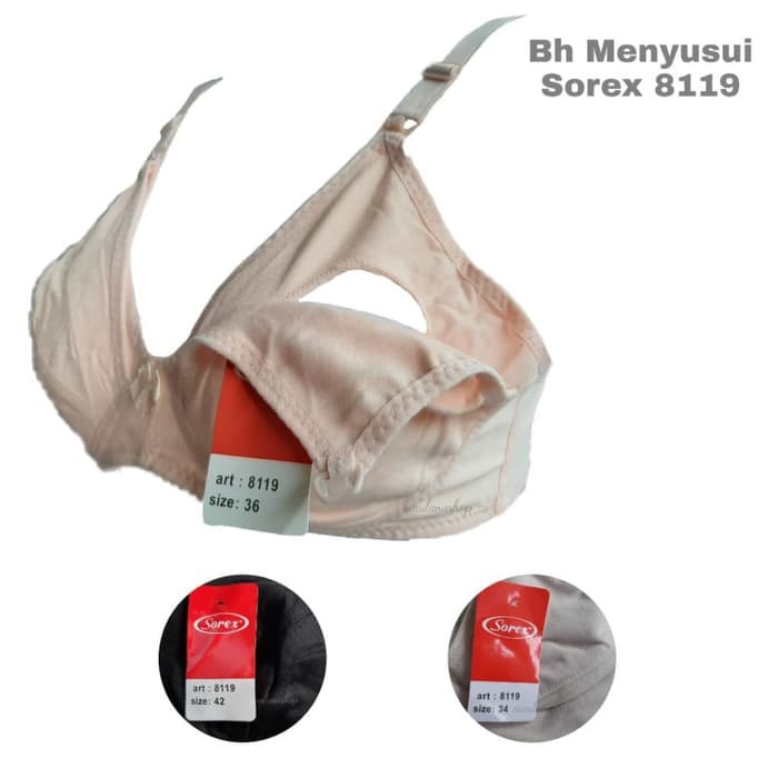 BH MENYUSUI / UNDERWARE WANITA / BH SOREX BH 8119