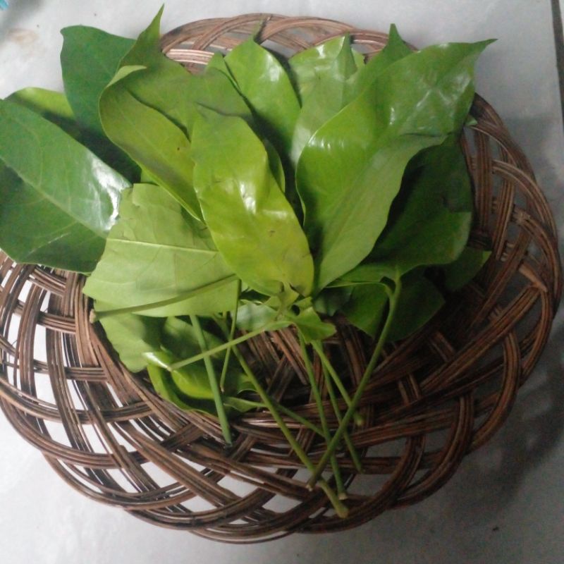 

sayur daun melinjo/tangkil per 100grm