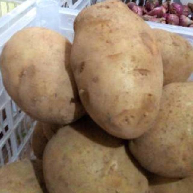 

Kentang Dieng 1kg Super| SayurFresh_Depok1619