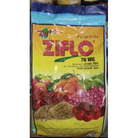 ZIFLO 76 WG 800gram