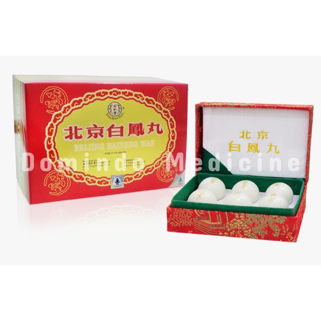 Obat Tradisional China TRT Beijing Bai Feng Wan 6’s