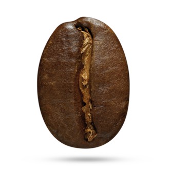 

Sumatra Sidikalang - Arabica Roasted Coffee beans 250gr