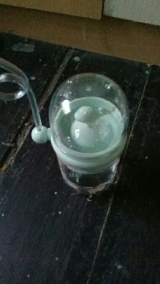 Botol Minum Anak Air Mancur 250ml