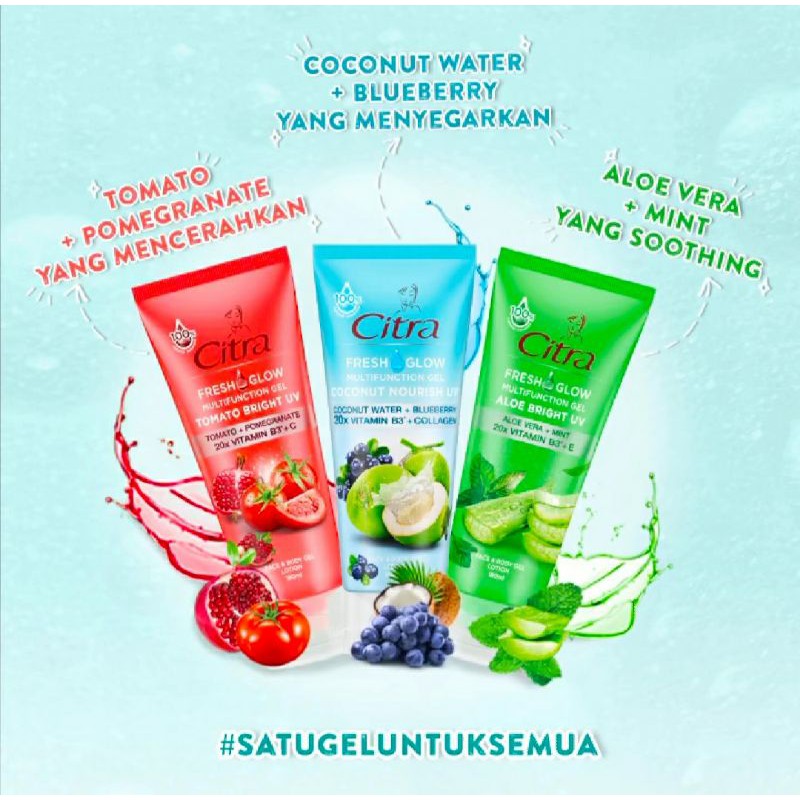 CITRA MULTIFUNCTION GEL (TOMATO ALOE+MINT COCONUT WATER)