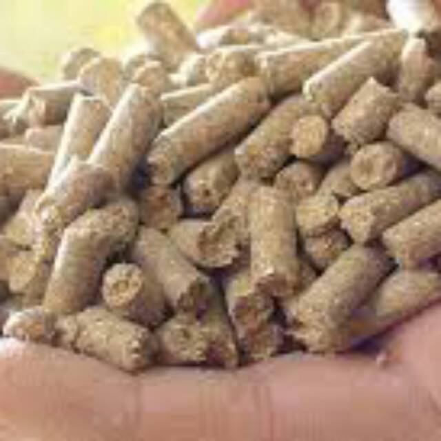 Pakan Ayam-Hamster-Bebek-Kelinci Pur Babi