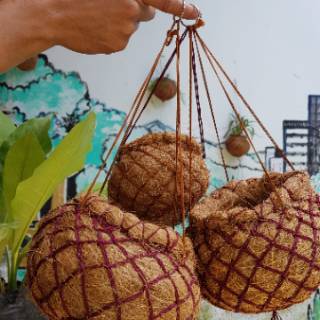 Media kokedama pot  sabut  kelapa  pot  kaktus mini sukulen 