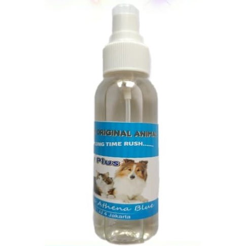 PARFUM KUCING KITTY PLUS ATHENA BLUE 120ML