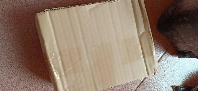 Botol Minum Anak // Kiddos Tumbler