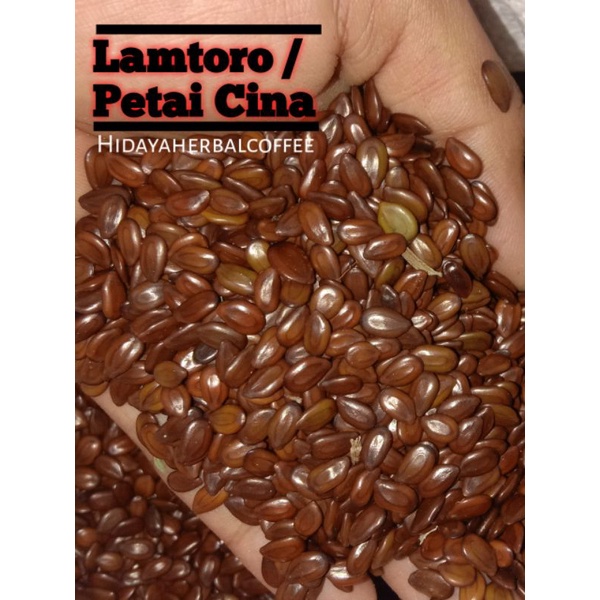 

Biji Lamtoro Kering Bersih / Petai Cina 1kg - Obat diabetes