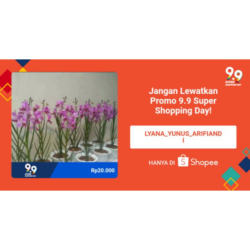 Anggrek vanda douglas