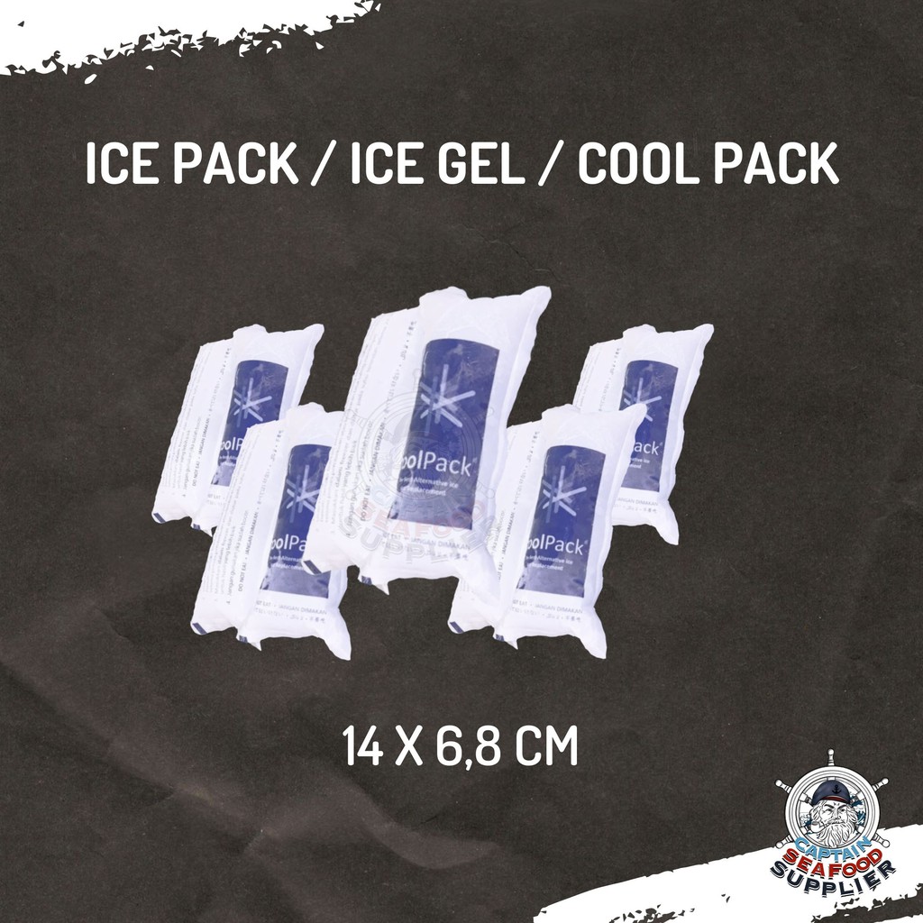 Jual Ice Gel Ice Pack Pengganti Es Batu Shopee Indonesia