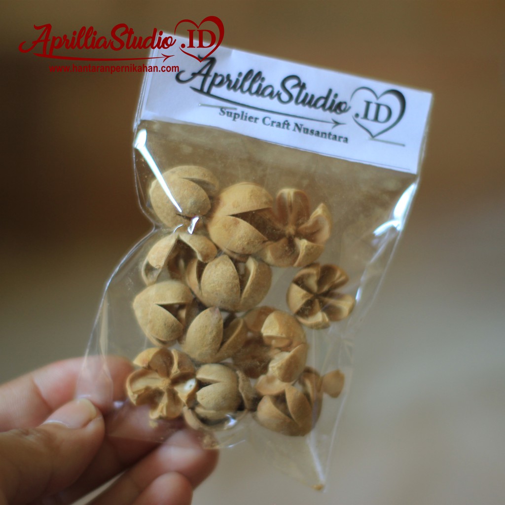 Bahan Kerajinan Untuk Dekorasi Rustic dan Craft Biji Puspo Isi 12 pcs