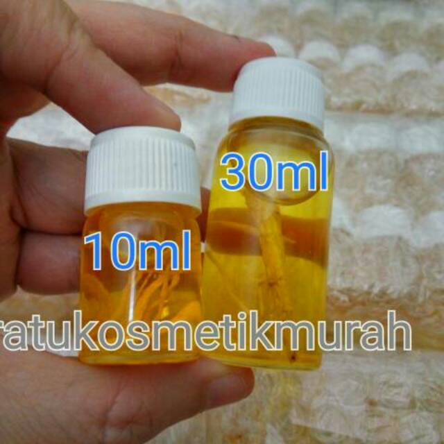 [BESAR] MINYAK BULUS PAPUA GINSENG JUMBO ORIGINAL 30ml