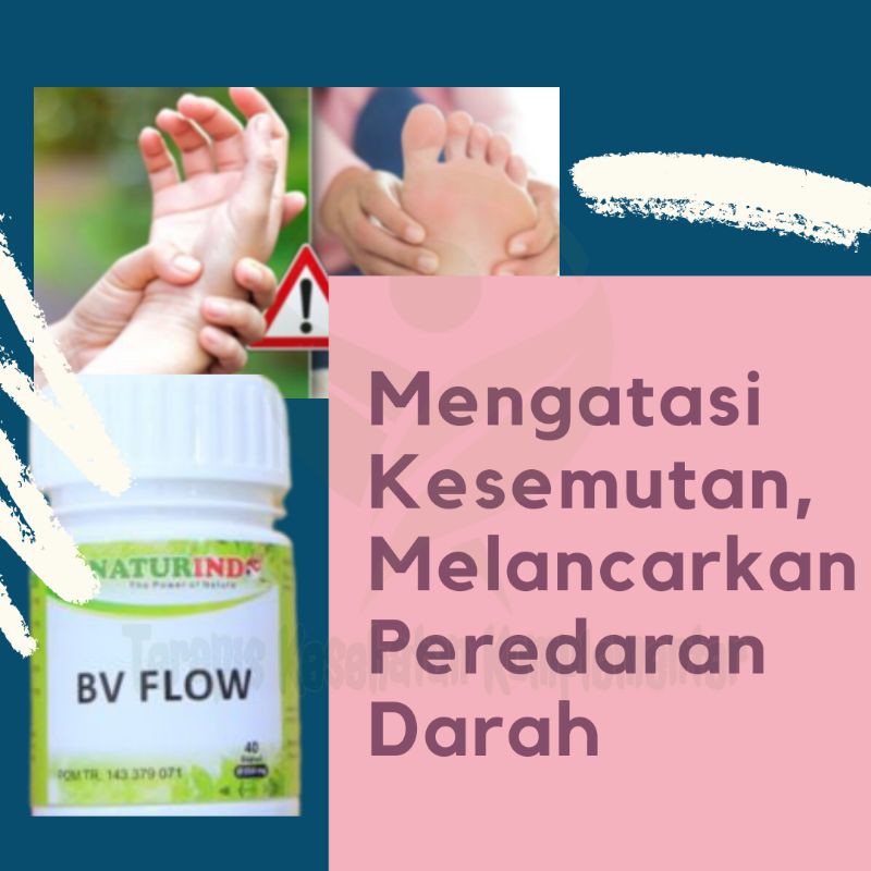 

BV FLOW Obat Herbal Kesemutan Melancarkan Penyumbatan Darah Isi 40 Kapsul