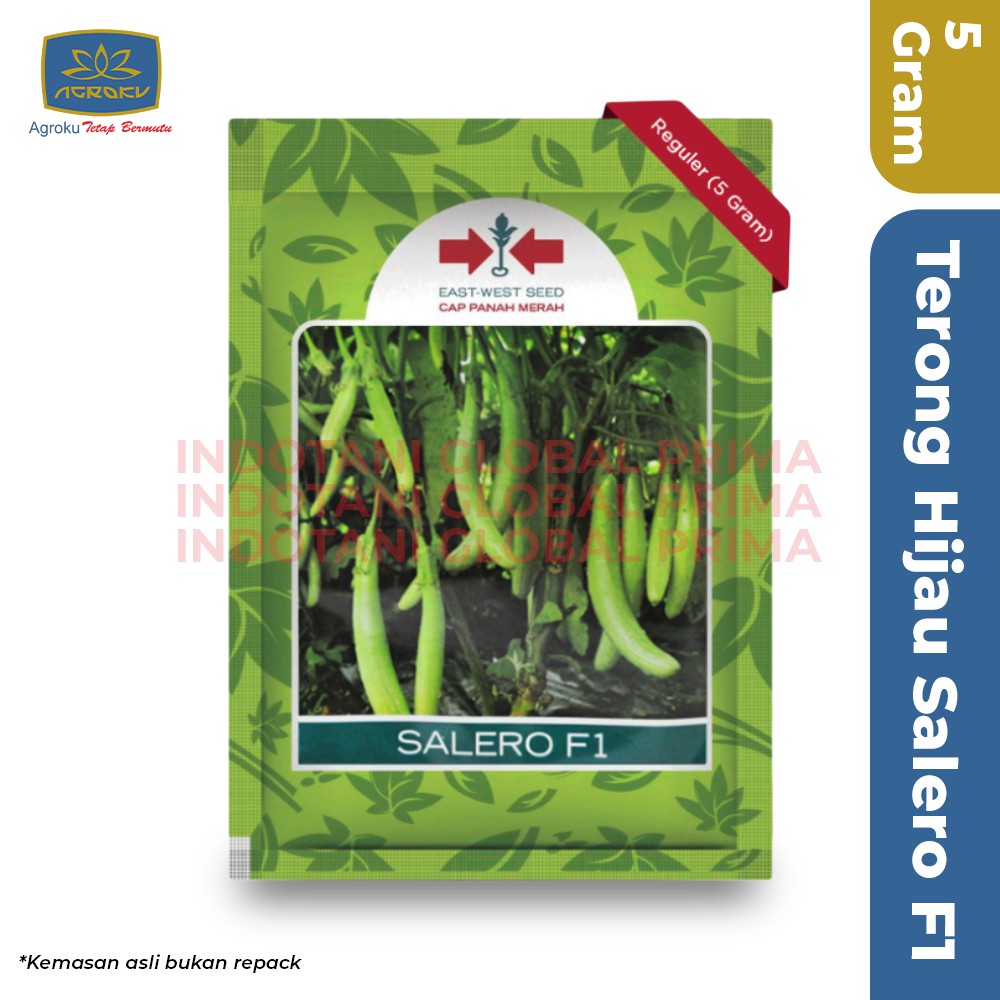 Benih Terong Hijau SALERO 5 Gram - Cap Panah Merah