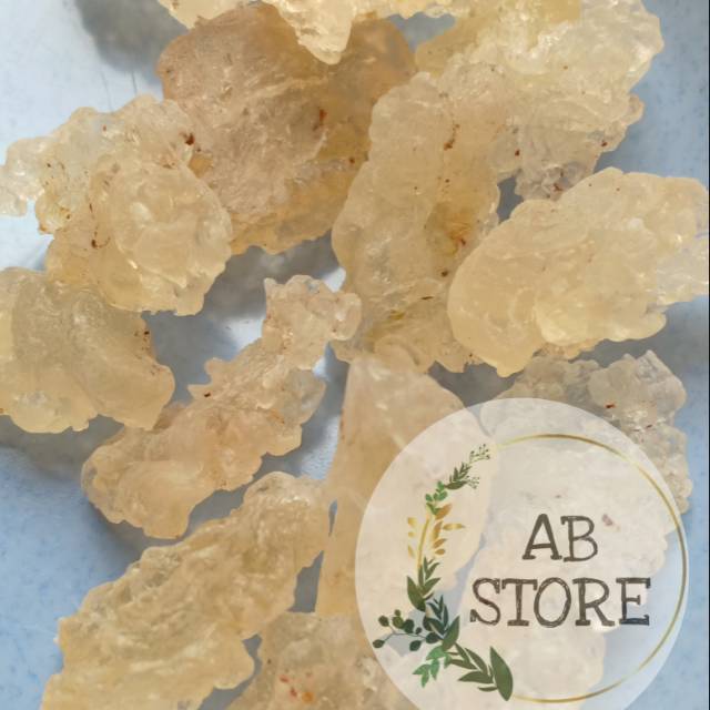 

Snowbird / snow bird nest / Xue Yan @15 gram abstore