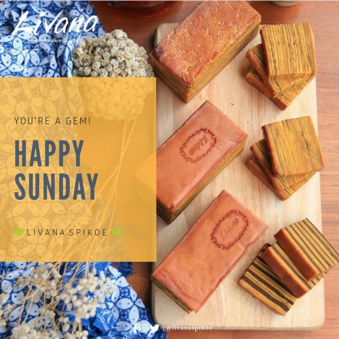 

T20R Lapis Legit Keju Ht501Gr