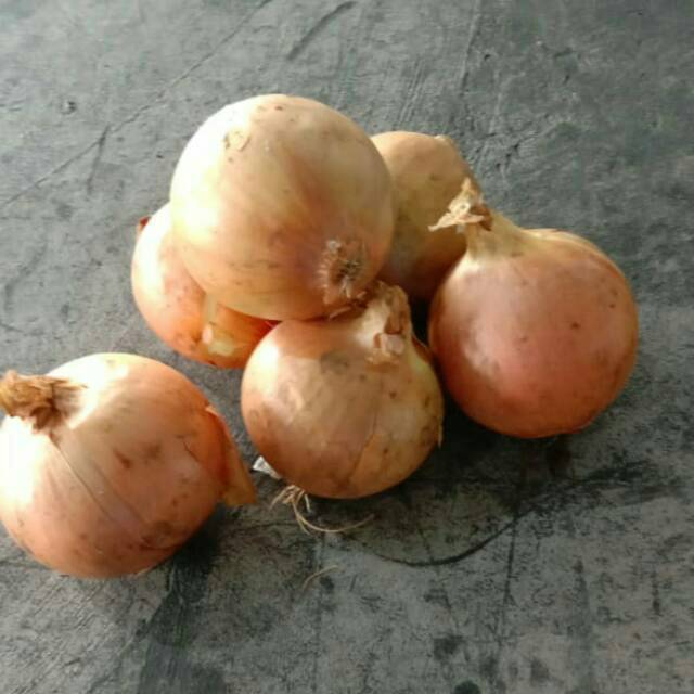 

Bawang Bombay Import New Zealand jual kiloan