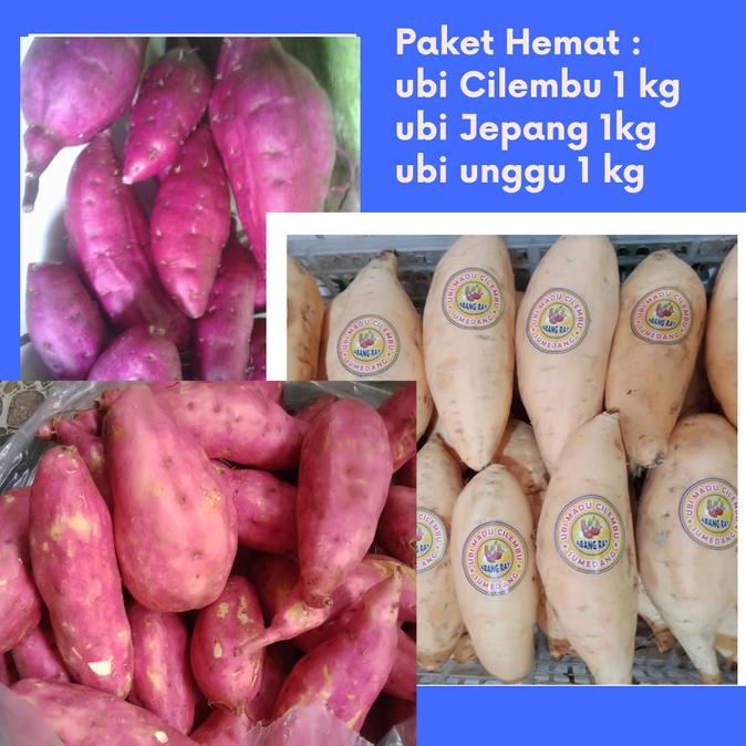 

windytriastuti13 Ubi Jepang,ubi unggu,ubi cilembu TERLARIS TERPERCAYA ORIGINAL