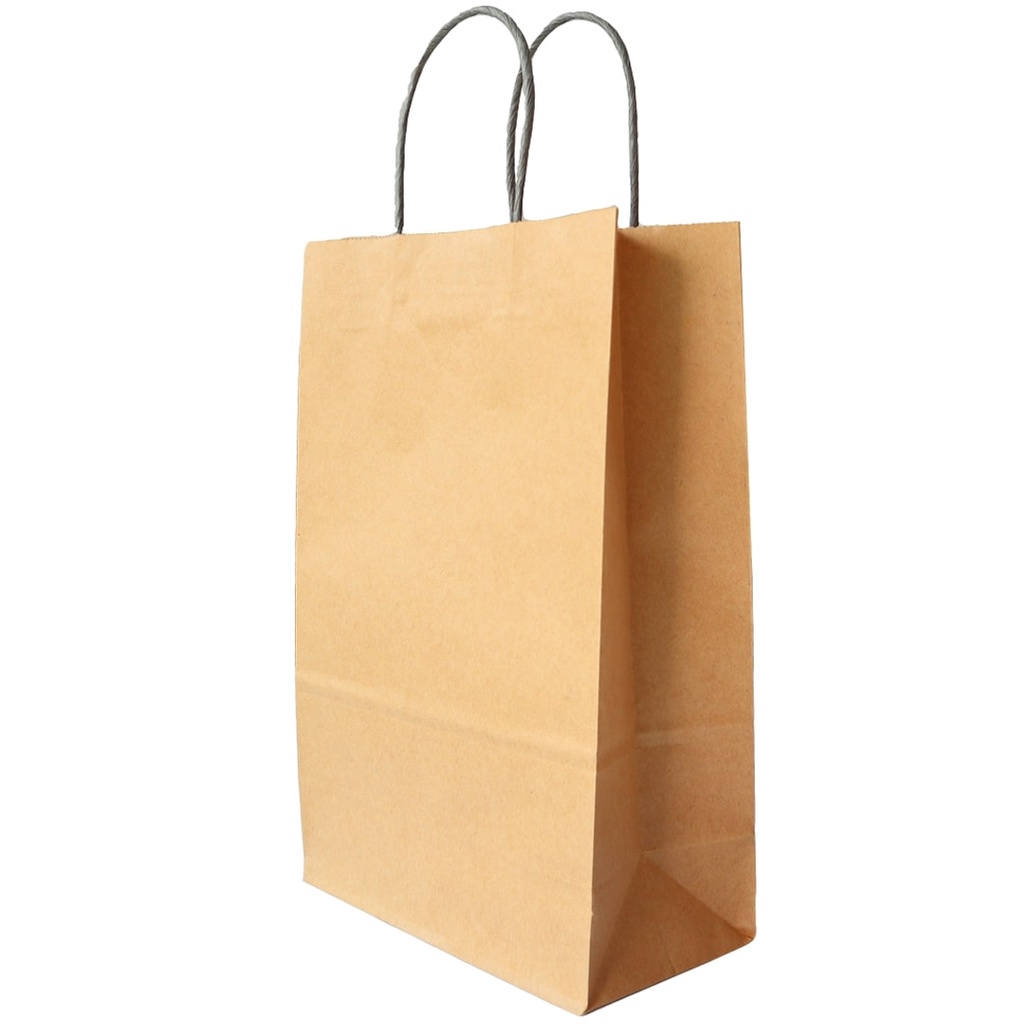 Paper Bag Polos Tas Belanja Kantong Belanja (SBG1-20X10X30)