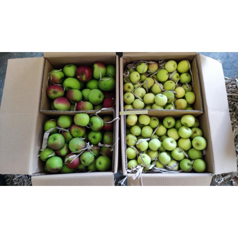 

buah apel malang || rubicon romebeauty + manalagi per kg