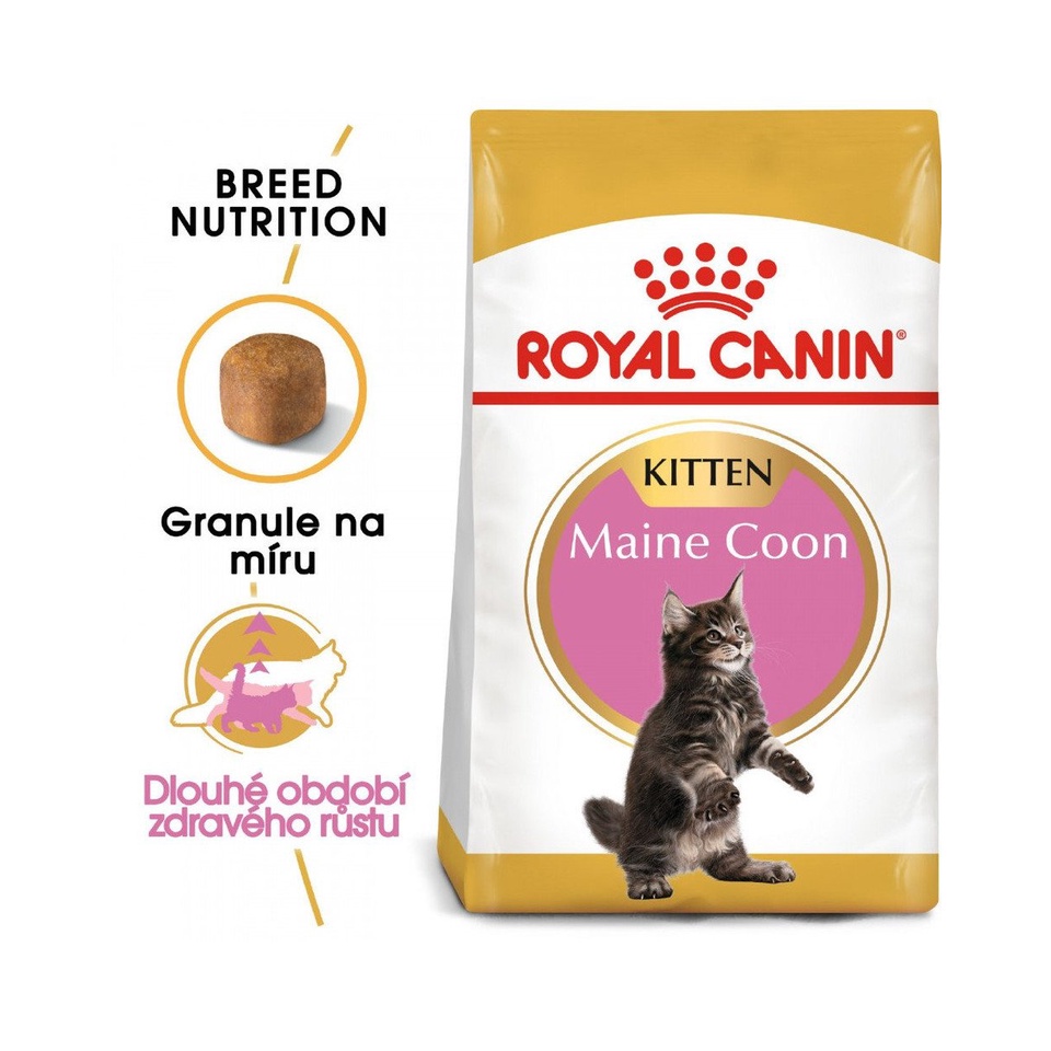 RC KITTEN MAINE COON 2 KG